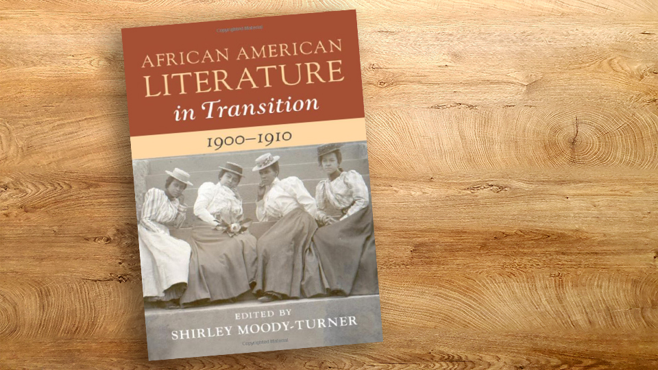 African American Literature in Transition book